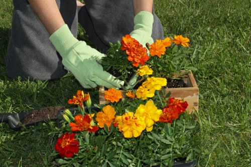 Environmental considerations in garden clearance