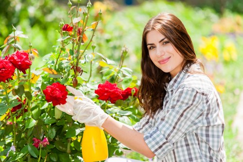 Professional gardener trimming a hedge