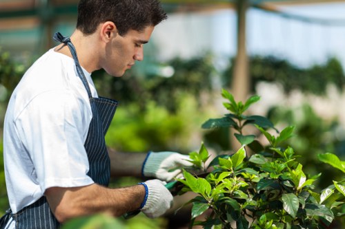 Comprehensive garden clearance services overview