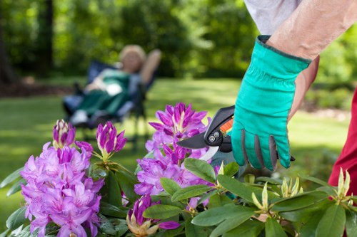 Professional gardener working on plant care in a Marylebone garden
