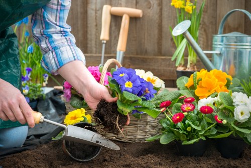 Homeowner mowing lawn with equipment