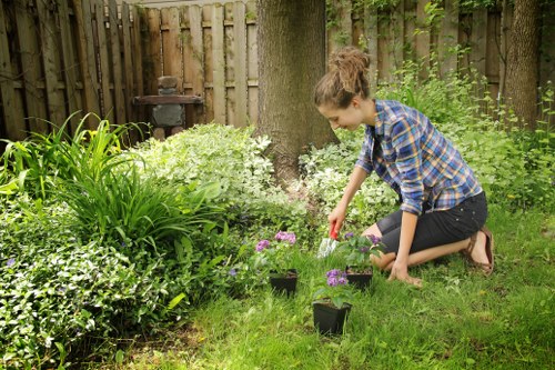 Benefits of professional garden clearance