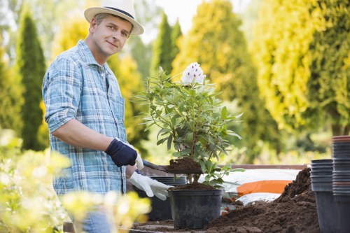 Garden maintenance tasks including pruning and weeding in a Marylebone garden